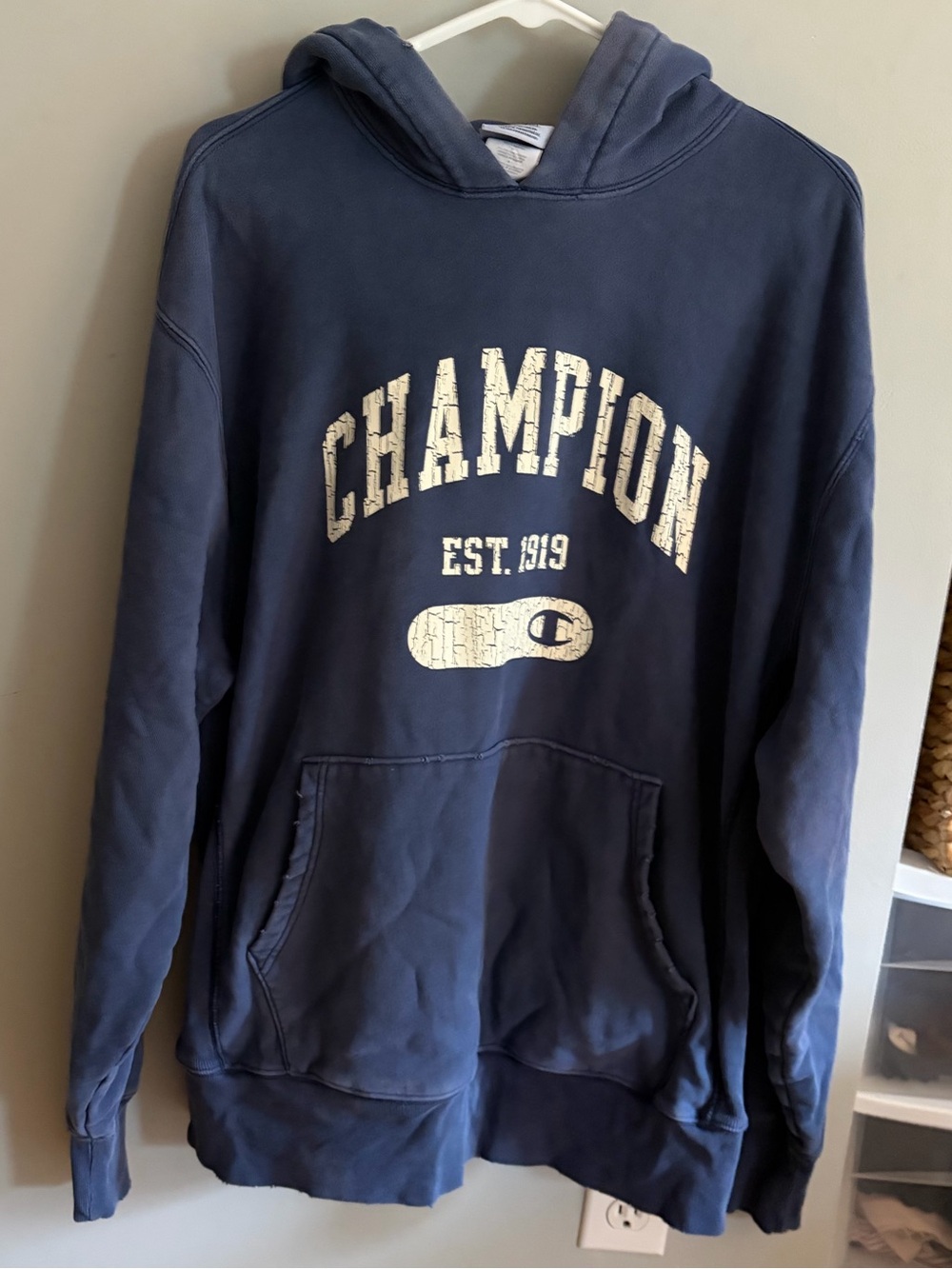Navy champion reverse weave hoodie
